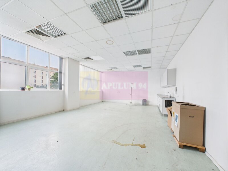 Spatiu Industrial | Comercial Dristor VITAN | RACARI